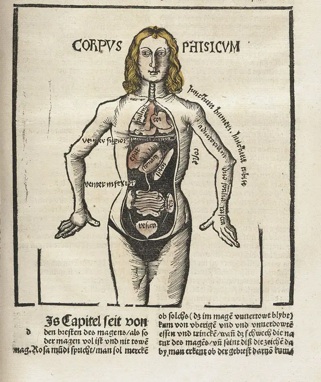 Anatomical woodcut from Hieronymus Brunschwig's Liber de Arte Distillandi, 1500, showing a female figure with exposed internal organs labeled Corpus Patisicum