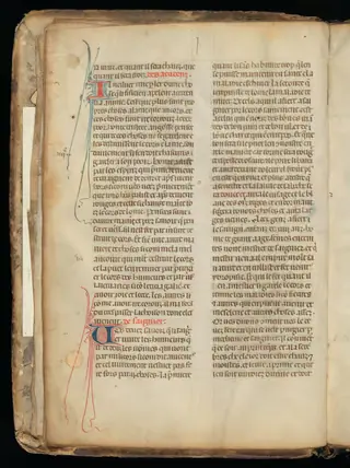 A page from Aldobrandino's Régime du corps