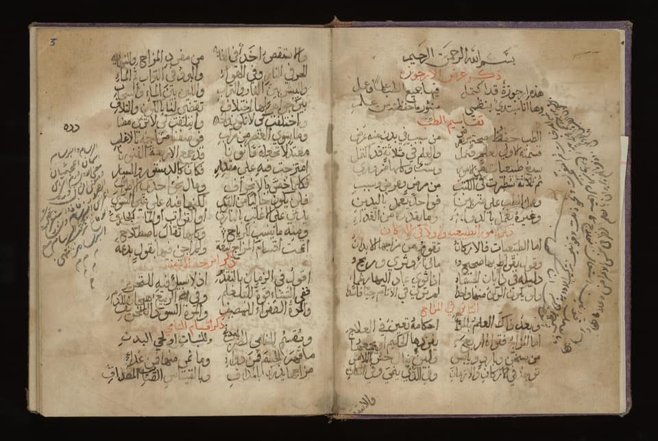 Cover scan of Three Arabic rajaz medical poems in MS Arabic 129 part 2, 1700