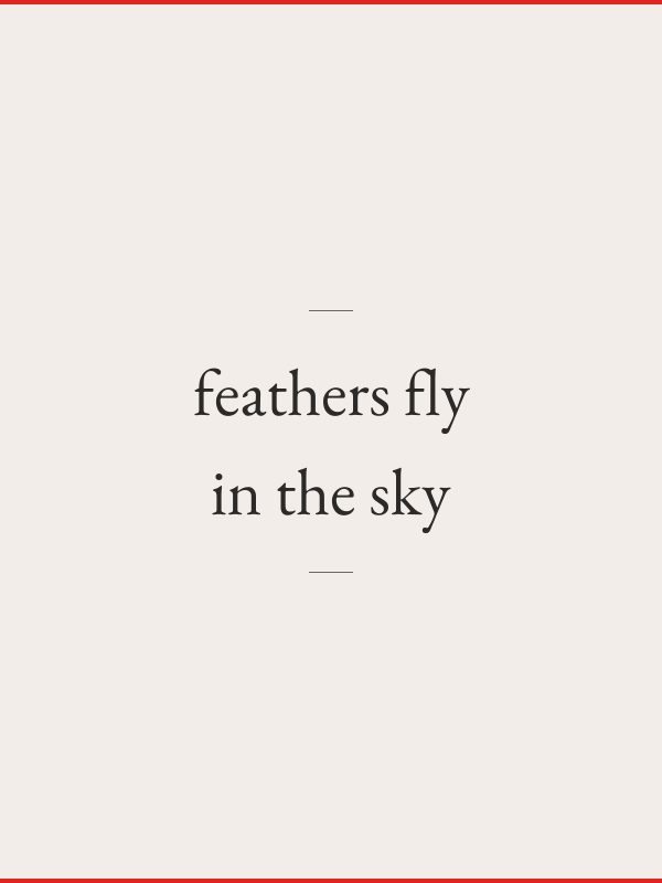 Feathers Fly