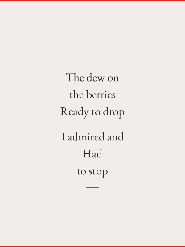 The dew on