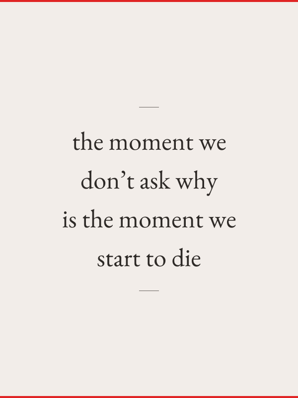 The Moment We